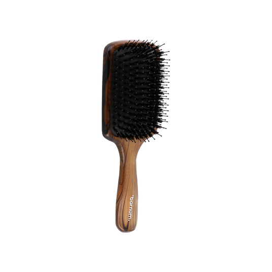 Barnum Brosse plate Ysocel grande